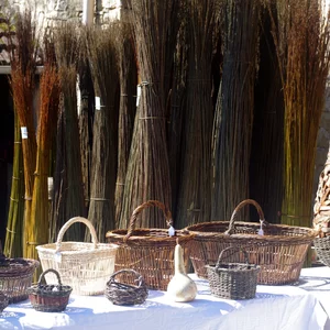 rencontres_autour_du_saule_2024_7