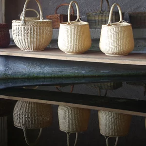 rencontres_autour_du_saule_2025_10