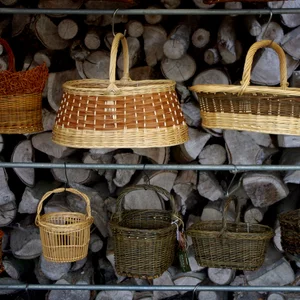 rencontres_autour_du_saule_2025_12