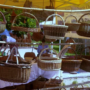 rencontres_autour_du_saule_2025_15